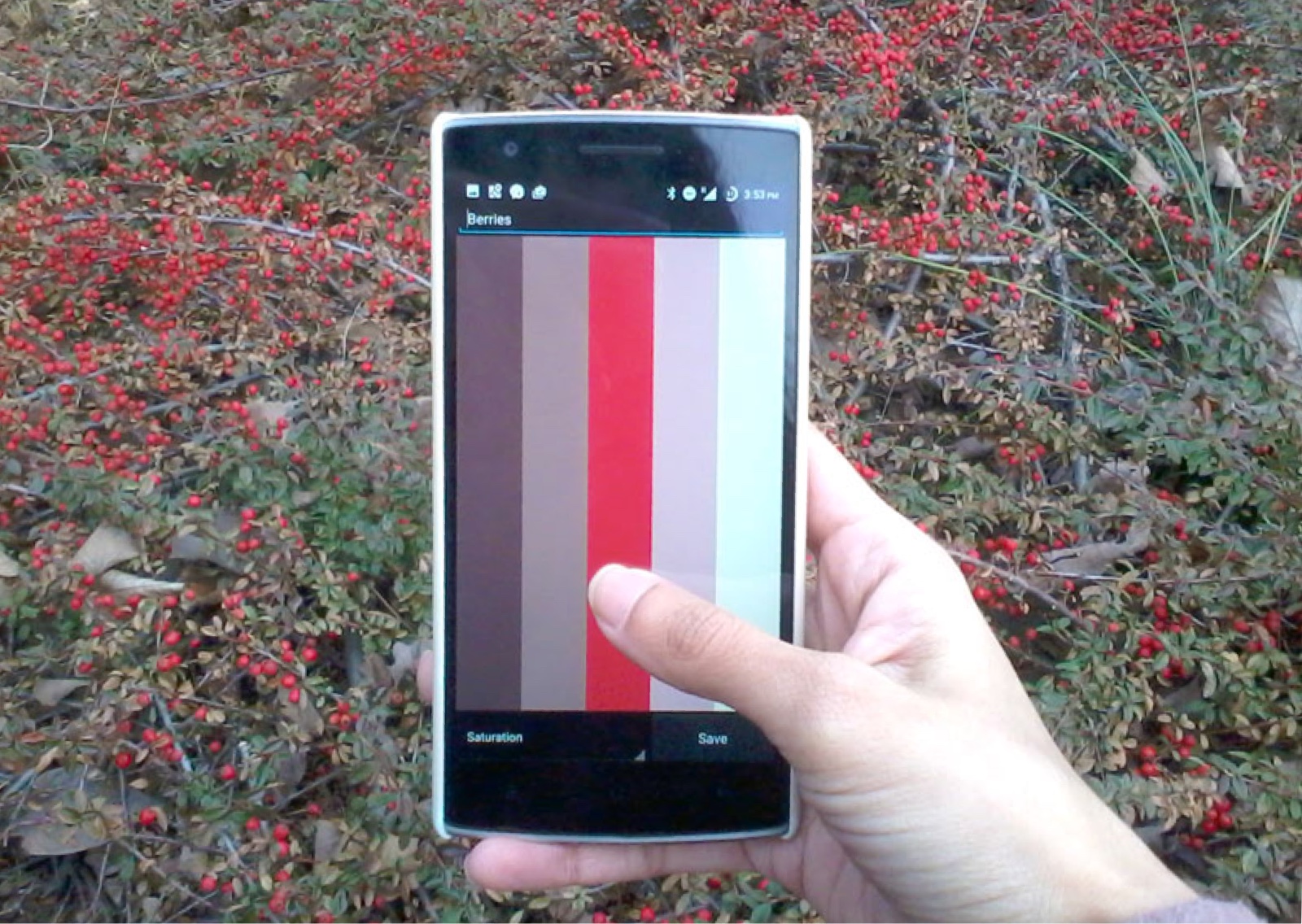 Extracting color palettes